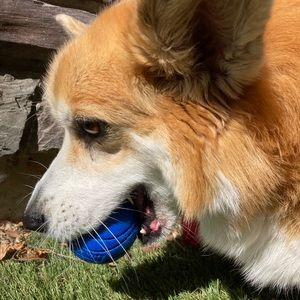 Meet your Posher, Ava